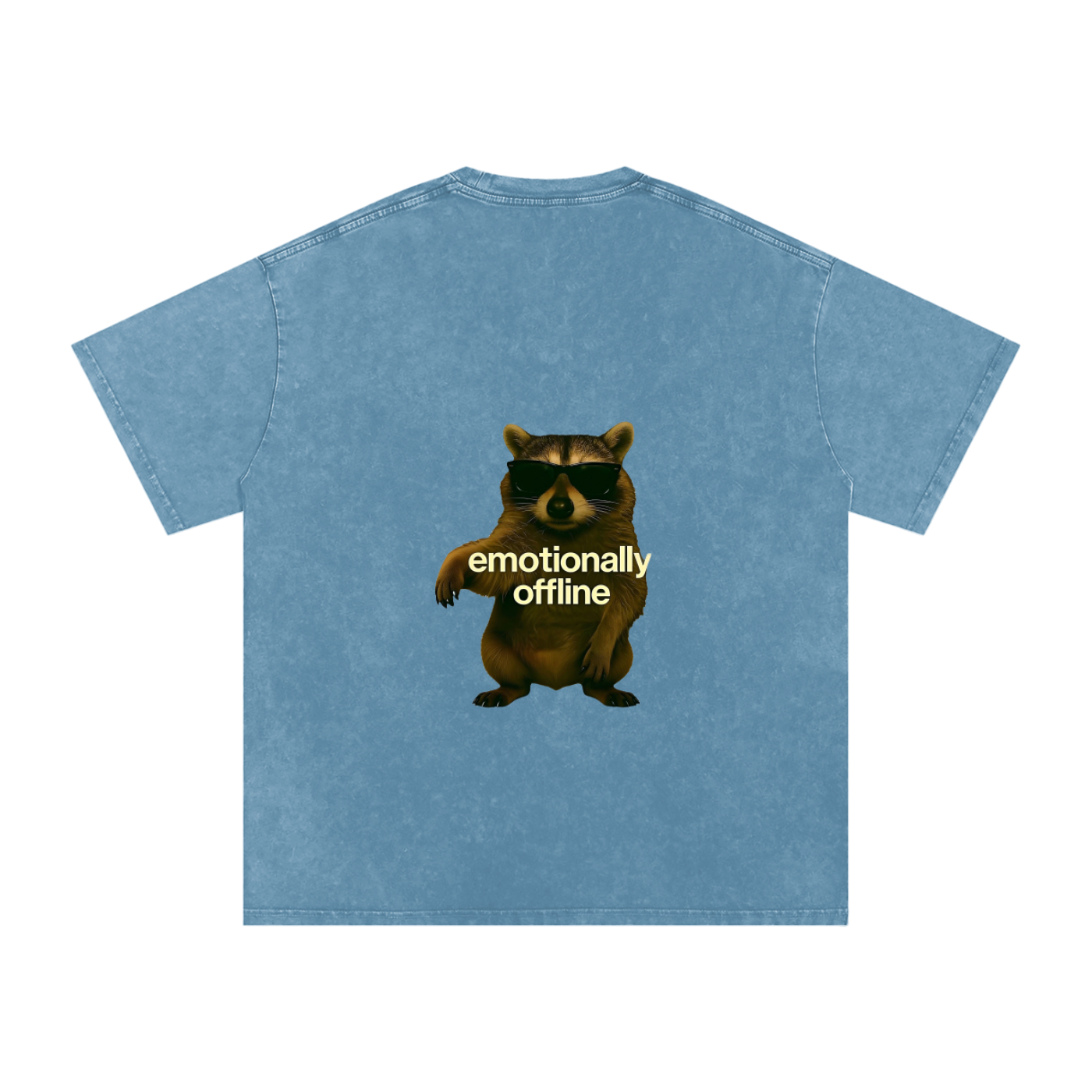 Raccoon Snow Washed Oversized Cotton T-Shirt
