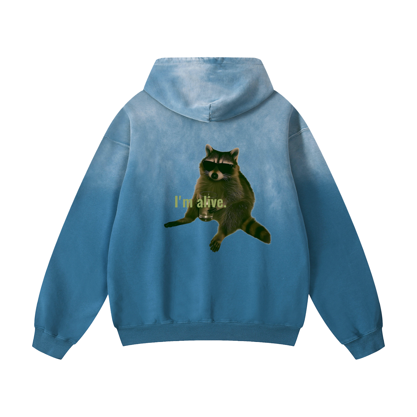 Heavyweight Sunfade Oversized Hoodie