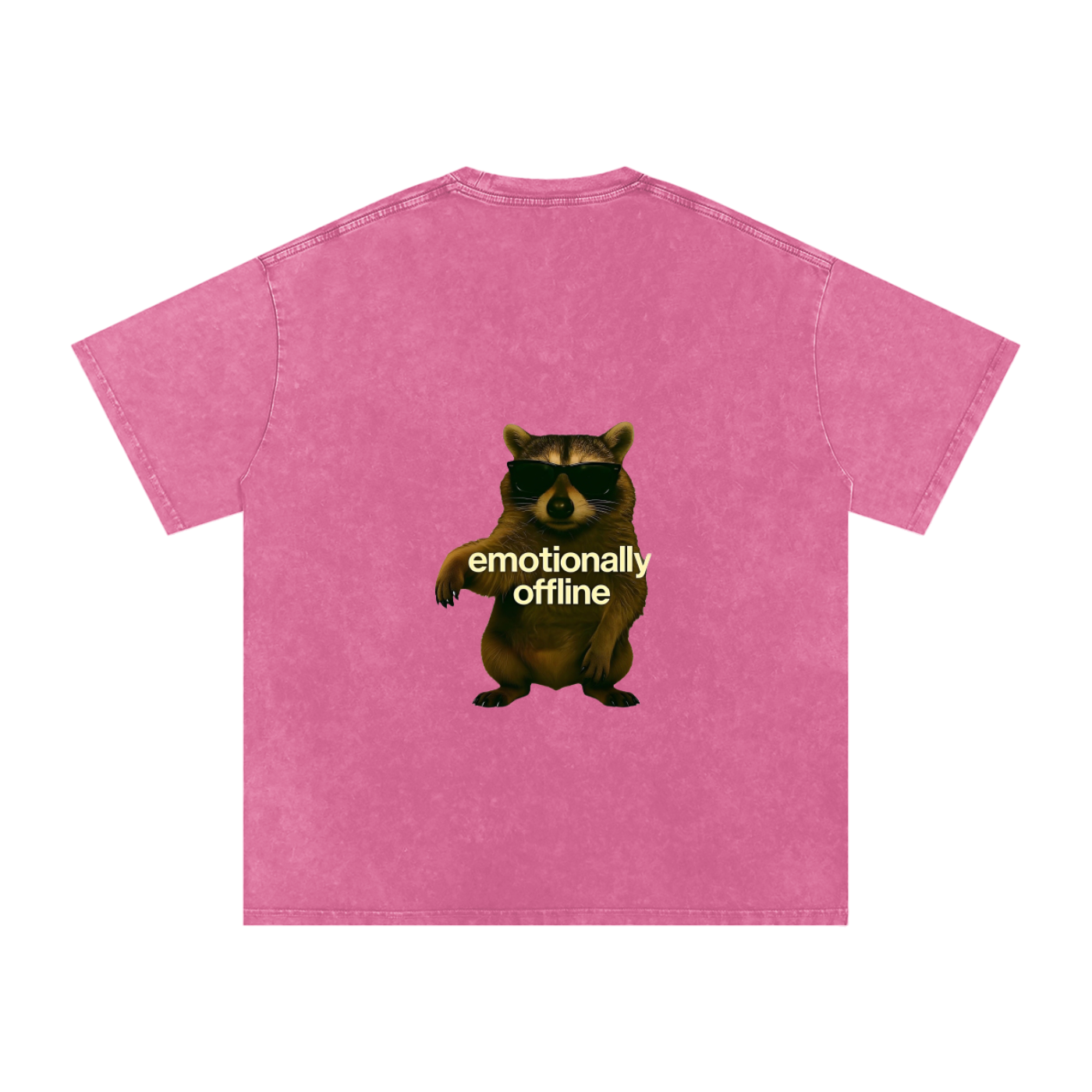 Raccoon Snow Washed Oversized Cotton T-Shirt