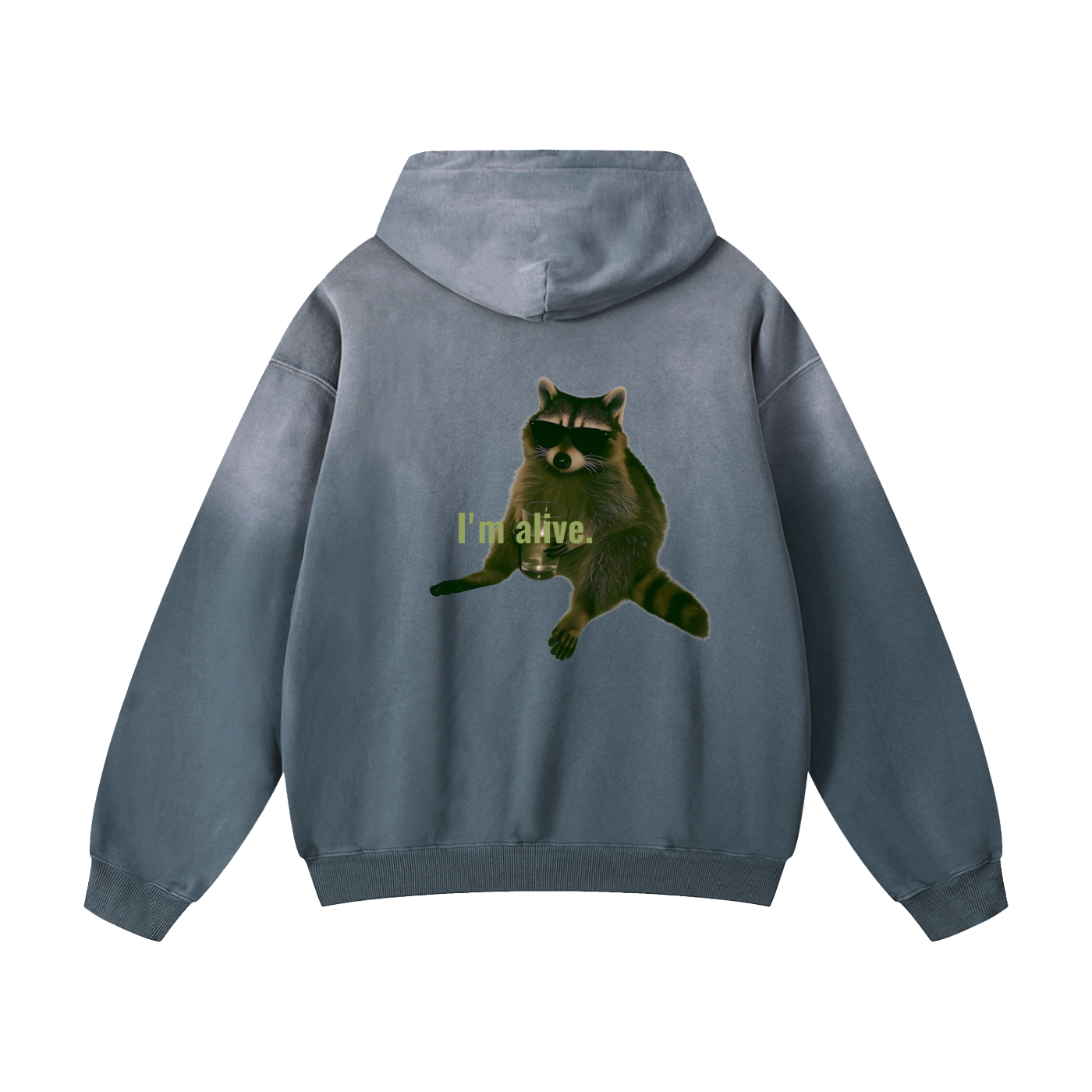 Heavyweight Sunfade Oversized Hoodie