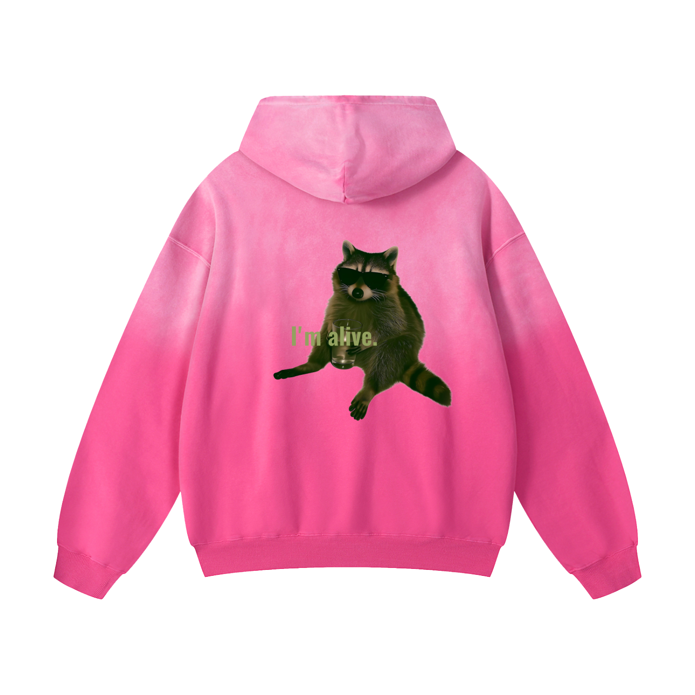 Heavyweight Sunfade Oversized Hoodie